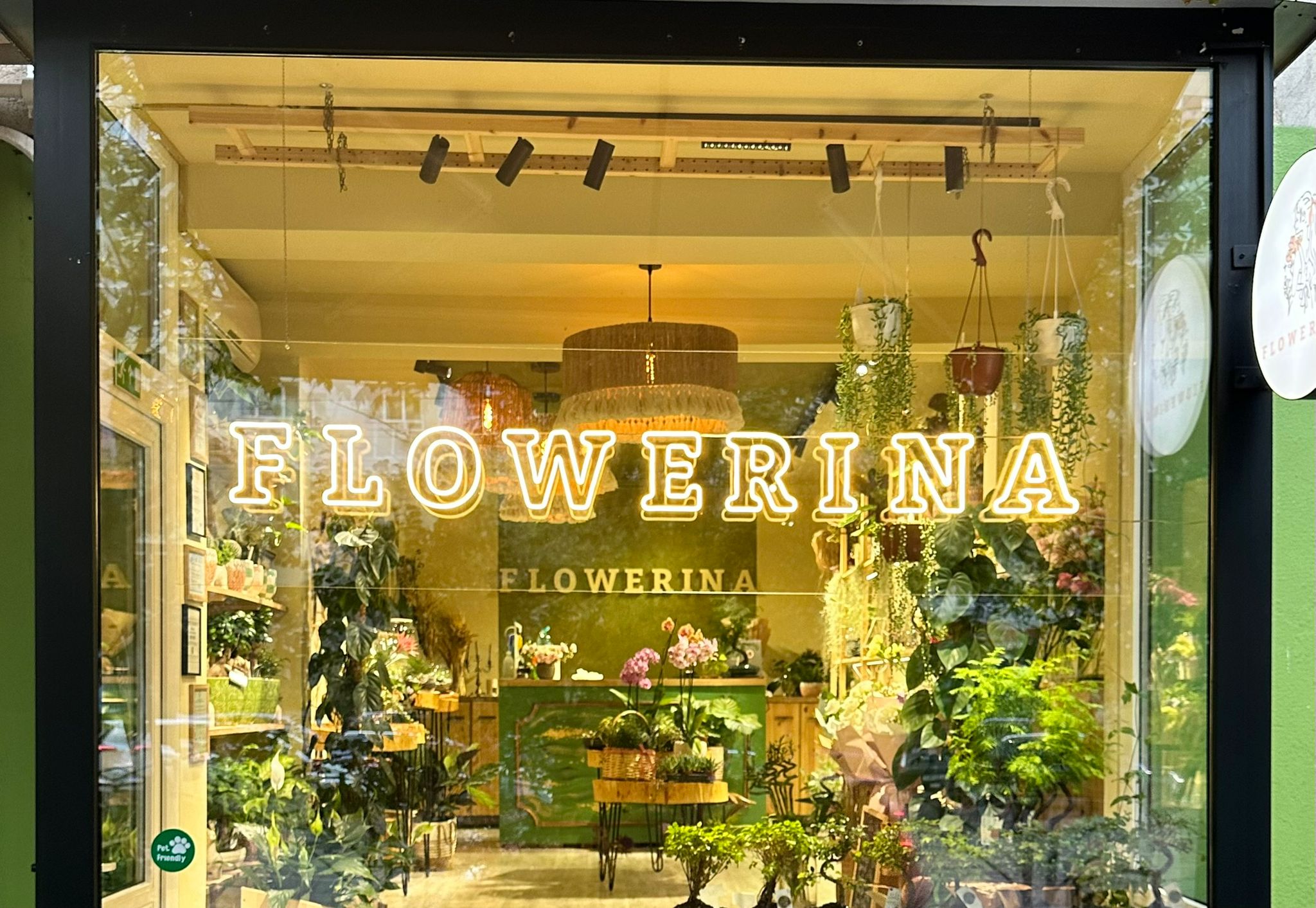 Flowerina – definiția unei florării cu suflet